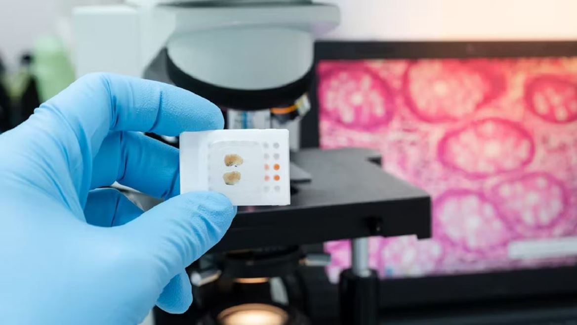 Histopathology lab at Blufrog